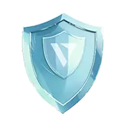 Indemnity Insurance